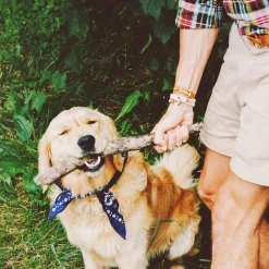 Kiel James Patrick Atlantic Whalers^ Rope Bracelets