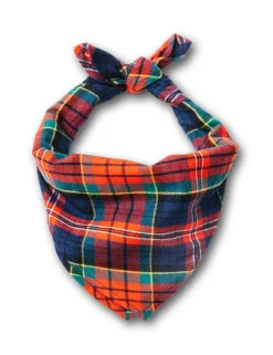 Kiel James Patrick Maple Lake Trail Flandana^ Adventure Bandanas