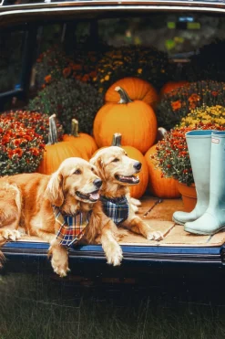 Kiel James Patrick Maple Lake Trail Flandana^ Adventure Bandanas