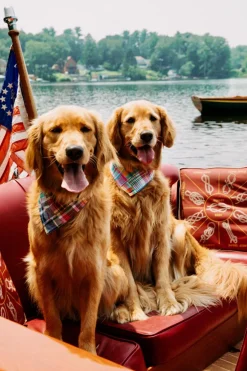 Kiel James Patrick Newport Patchwork Madras Bandana^ Adventure Bandanas